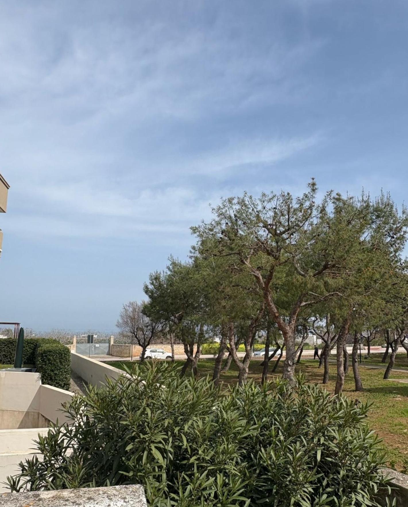 Hotel Venti Di Mare Monopoli Esterno foto